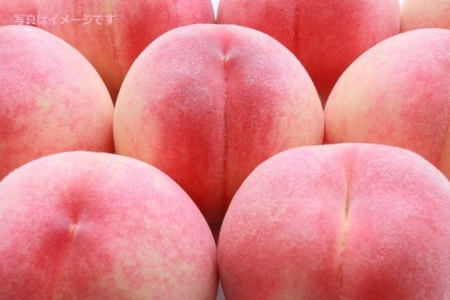 イベントの写真