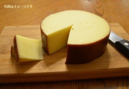 イベントの写真
