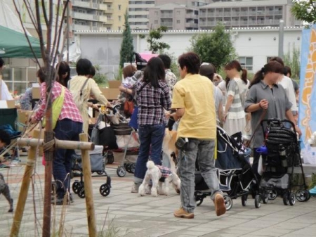 イベントの写真