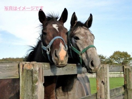 イベントの写真