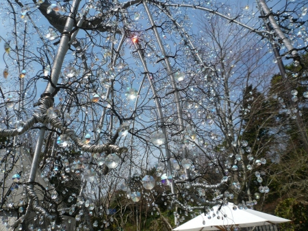 イベントの写真