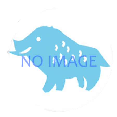 イベントの写真