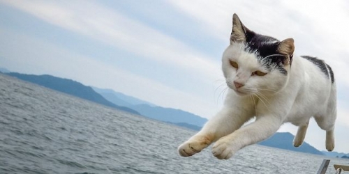 海の上を飛ぶ！？