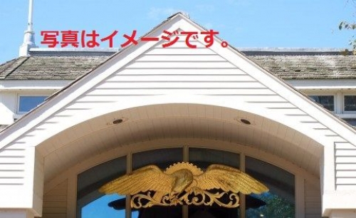 イベントフォト