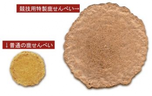 イベントフォト