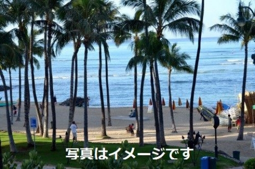 JALホノルルマラソン2013[JAL HONOLULUMARATHON:アメリカ