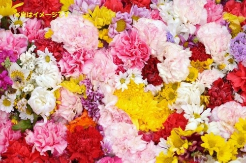 ジローナの花祭り(Temps de Flors):スペイン