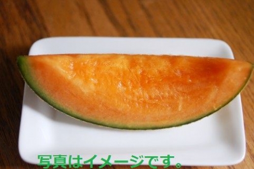 フランス:カヴァイヨン・メロンフェスティバル(Cavaillon Melon Festival)