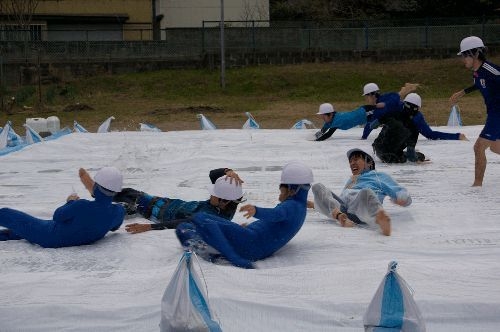 昨年の模様