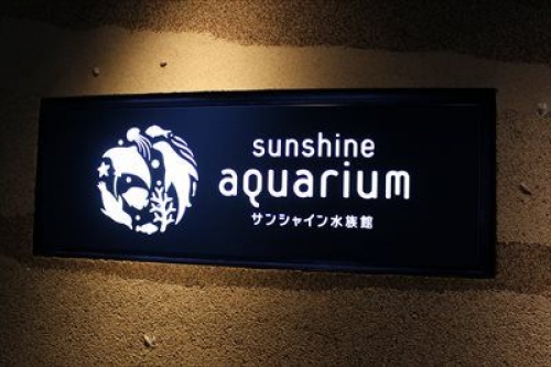 イベントフォト