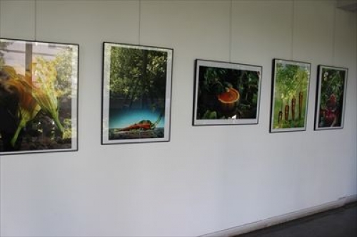 ARTS&FOOD 国際フード写真フェスティバル（東京）