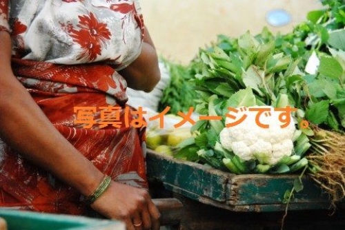 ナヴァラトリ Navrati:インド