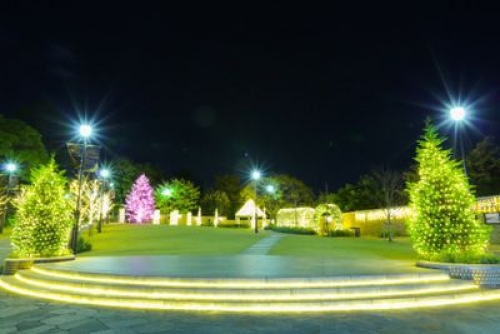 Sweet Memory in アメリカ山公園 2013