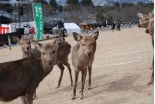 イベントフォト