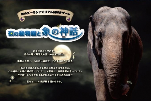 リアル謎解きゲーム inよこはま動物園ズーラシア 『夜の動物園と象の神話』