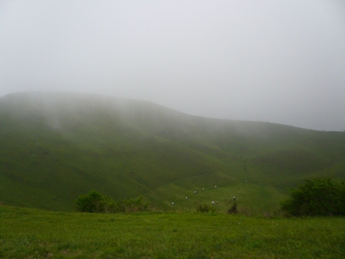 静岡　大室山
