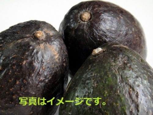 イベントフォト