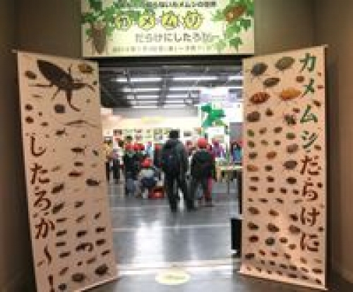 企画展　あなたの知らないカメムシの世界　カメムシファサード