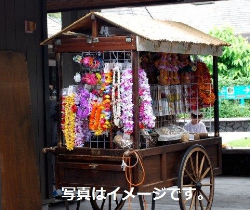 アメリカ・ハワイ:第67回アロハ・フェスティバル Aloha Festival