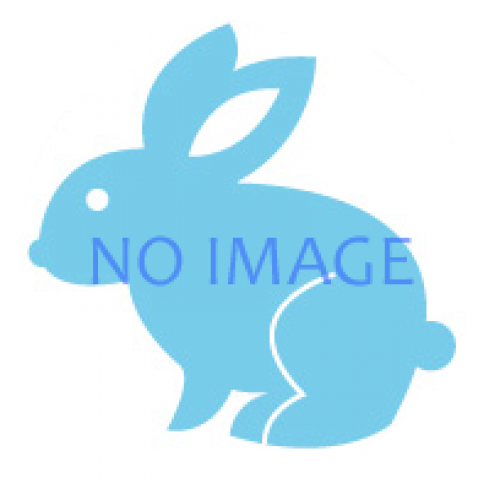 イベントフォト