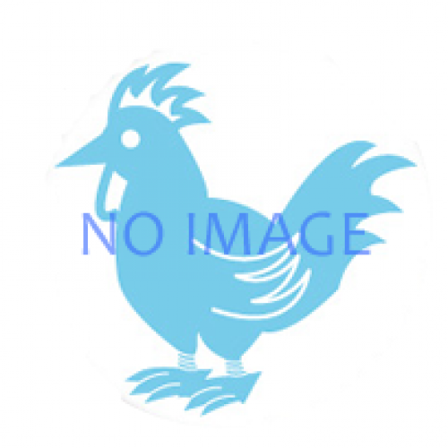 イベントフォト