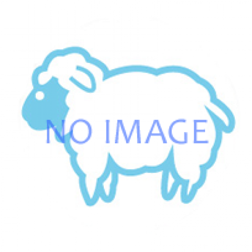 イベントフォト