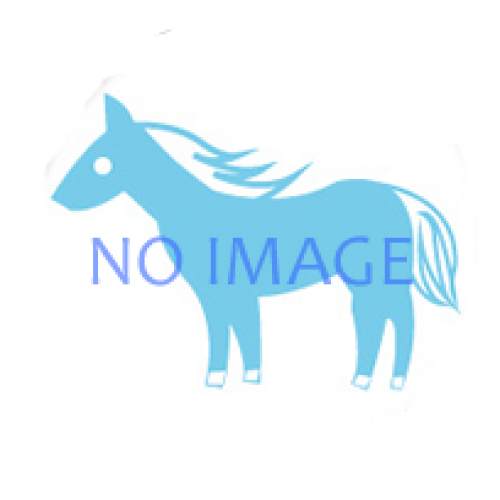 イベントフォト