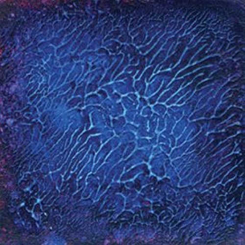 “FLOW” アダムウェストン展