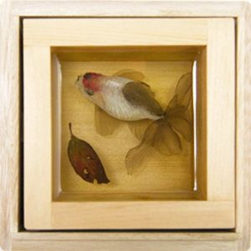 金魚が一番魅力的に見える見方、知ってる？　『深堀隆介個展　　金魚は上見で。』