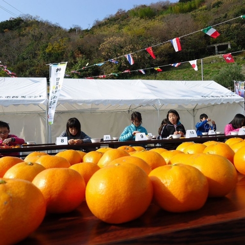 【12月23日 開催】美味しいみかんをむいて、食べて10万円＆ブランドみかん10kgが手に入る！？『ＷＭＣ みかんの皮むき選手権2014世界一決定戦』
