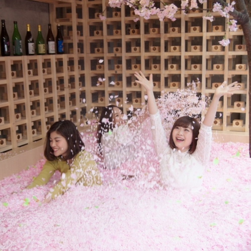 サクラに埋もれながら、佐賀の日本酒を楽しむ「SAKURA CHILL BAR」