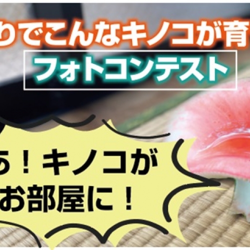 マニアック？あるある？「雨漏りでこんなキノコが育った！」フォトコンテスト