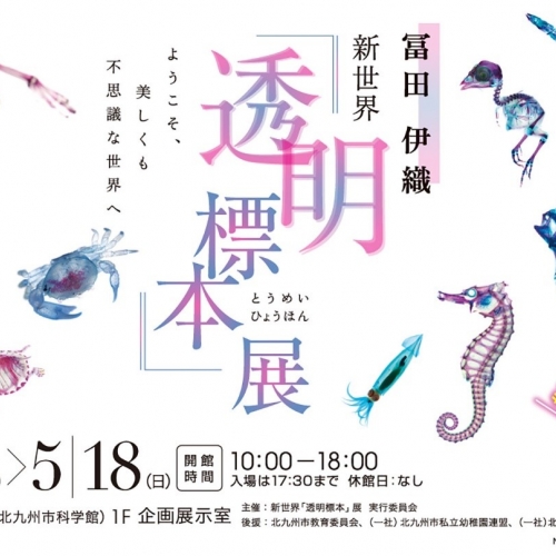 新世界『透明標本』展　