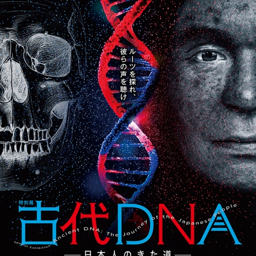 特別展「古代ＤＮＡ―日本人のきた道―」