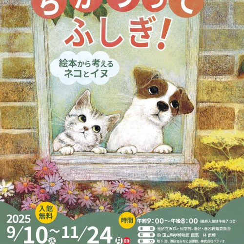 ちがうってふしぎ! ~絵本から考えるネコとイヌ~