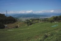 棚田　イメージ