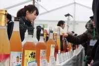 過去のイベントの模様