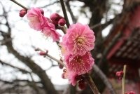 過去のイベントの模様