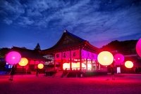 呼応する球体 – 下鴨神社 糺の森 /  Resonating Spheres – Forest of Tadasu at Shimogamo Shrine  teamLab, 2016, Interactive Installation, Endless, Sound: Hideaki Takahashi 