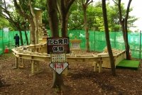 ダイナソーアドベンチャーツアー大恐竜パークin千葉ポートパーク