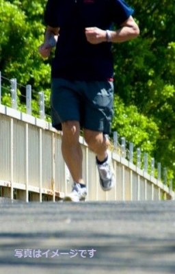 ベイ・トゥー・ブレカーズ（Bay to Breakers）：アメリカ 