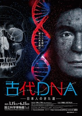 特別展「古代ＤＮＡ―日本人のきた道―」