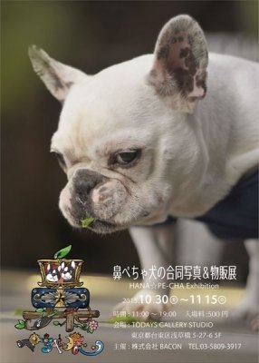 鼻ぺちゃ犬の合同写真＆物販展「鼻ペちゃ展」