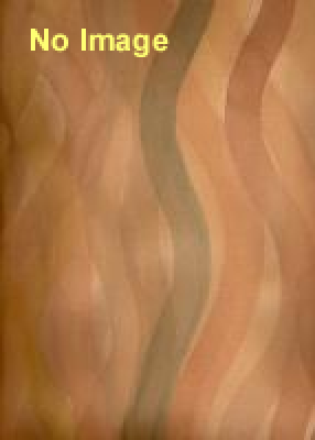 中田かかし祭 2016