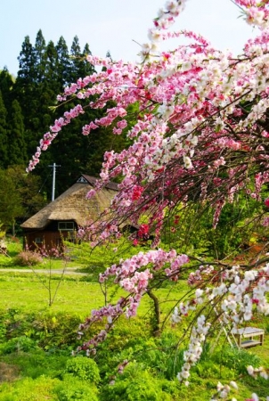 イベントの写真