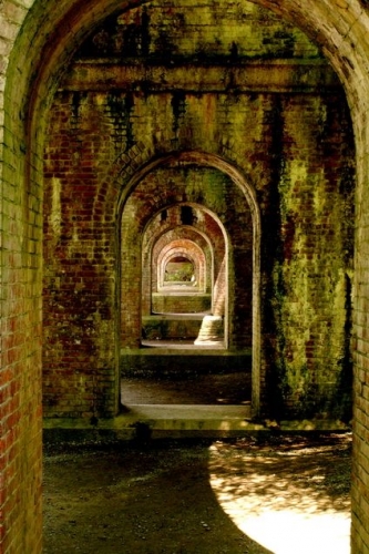 イベントフォト