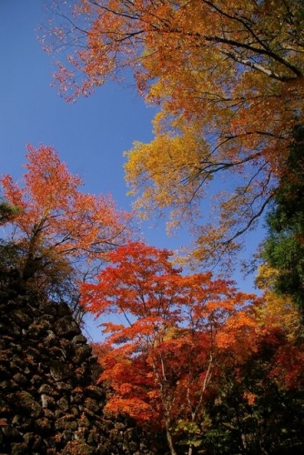 イベントフォト