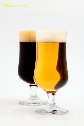 チェコビール・フェスティバル・プラハ:チェコ