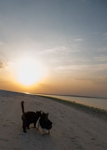 イベントフォト