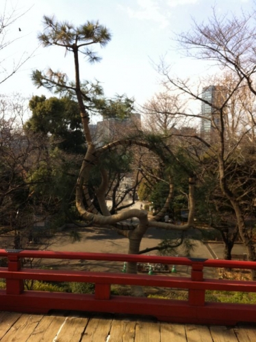 イベントフォト